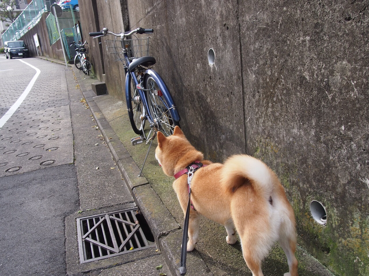 绿茵场的聚光灯与地球另一端的较量