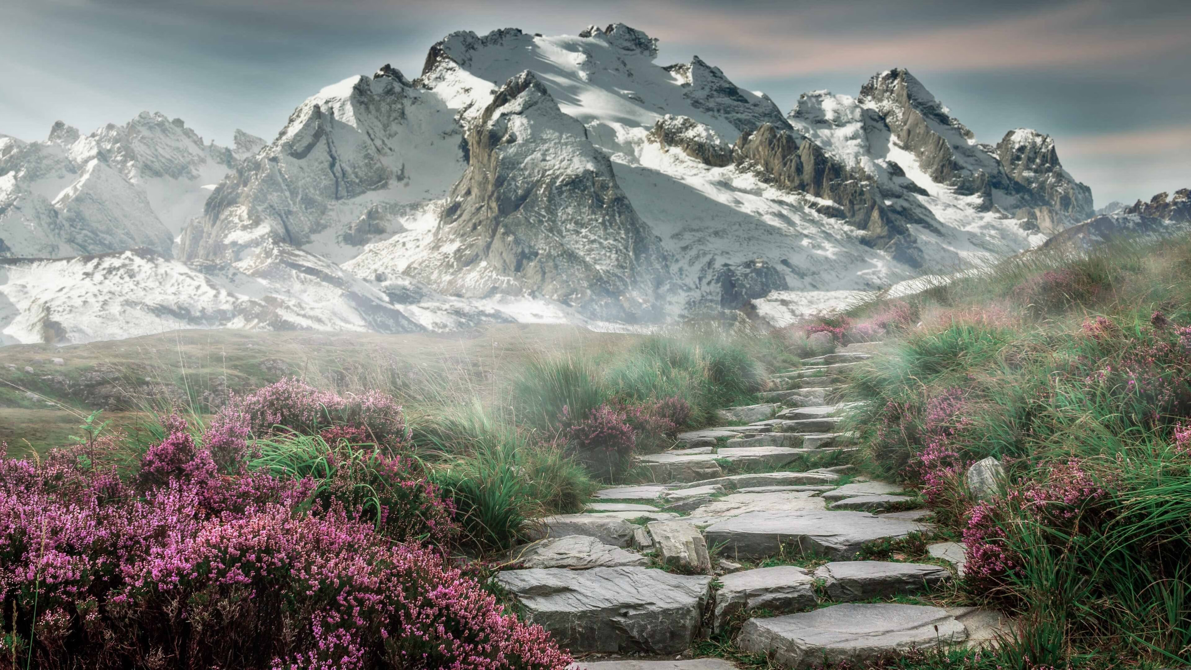 小国雄心与老将传奇,当颠覆成为唯一的选择