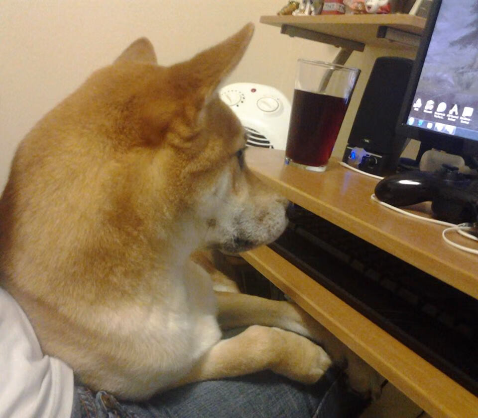 时光裂隙中的红蓝战歌，阿克与亚特兰大的双重奏