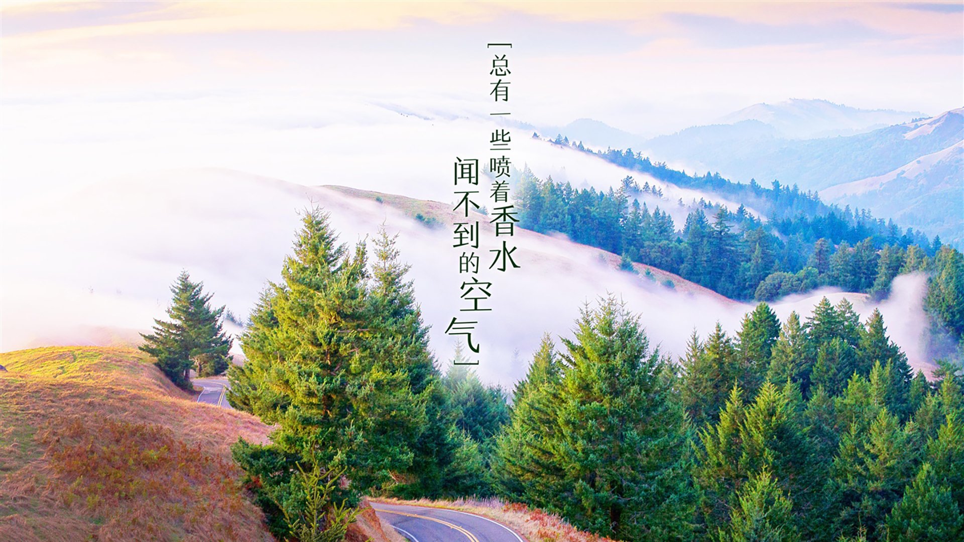 先为你扩展出一个兼具悬念与画面感的标题