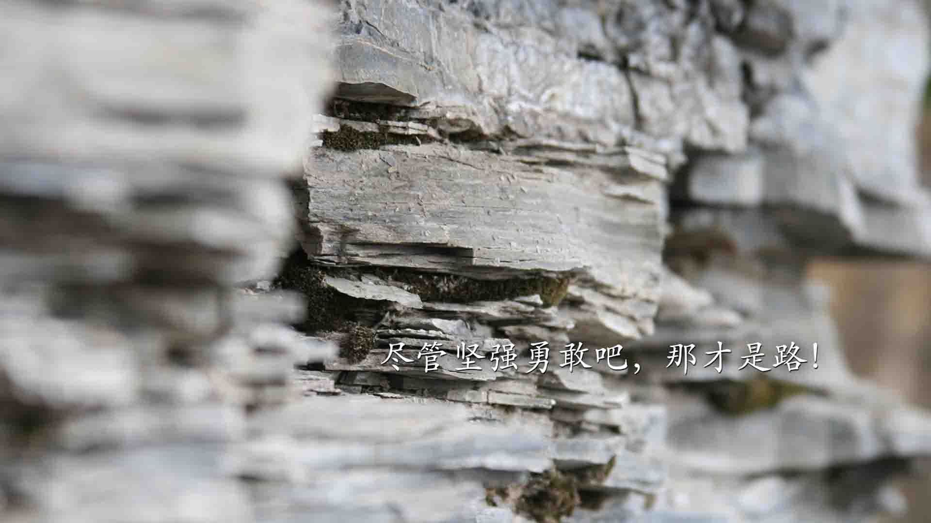 开云体育登录-让足球回归足球，当韩国的血性与意大利的优雅，在穆西亚拉的才华面前，成为了唯一性的注脚