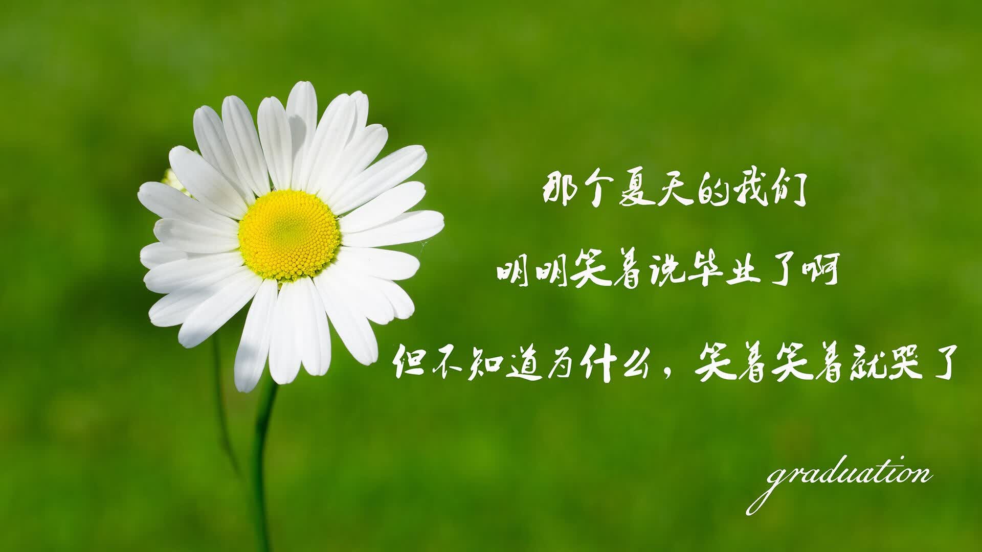 火焰双星耀北美,努涅斯加时绝唱,加纳于太极虎血脉中完成意志涅槃